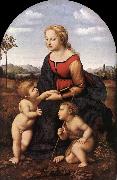 The Virgin and Child with Saint John the Baptist (La Belle Jardinire)  af